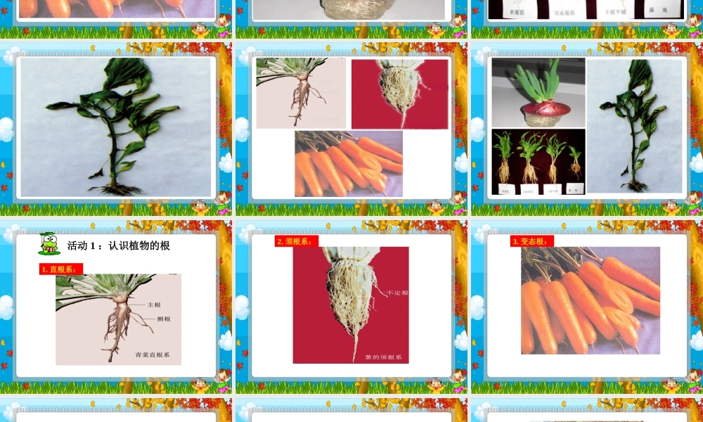 鄂教版小学科学四下优质公开课《3.向上长还是向下长》PPT课件【虚拟宝库网www.xunibaoku.com】.ppt