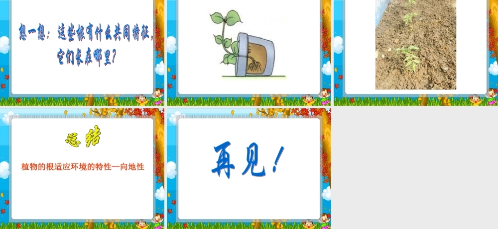 鄂教版小学科学四下优质公开课《3.向上长还是向下长》PPT课件【虚拟宝库网www.xunibaoku.com】.ppt