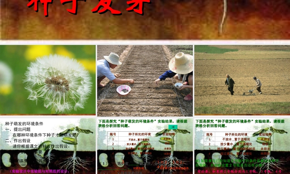 鄂教版小学科学四下优质公开课《2.种子发芽》PPT课件(4) 【虚拟宝库网www.xunibaoku.com】.ppt