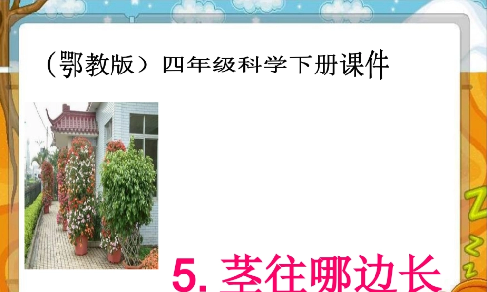 鄂教版小学科学四下优质公开课《5.茎往哪边长》PPT课件1【虚拟宝库网www.xunibaoku.com】.ppt