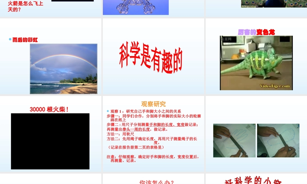 青岛小学科学三上《1 科学在我们身边》PPT课件 (4) 【虚拟宝库网www.xunibaoku.com】.ppt