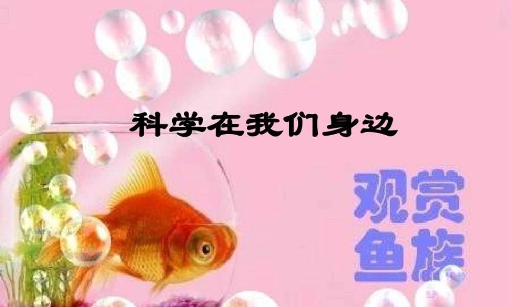 青岛小学科学三上《1 科学在我们身边》PPT课件 (2) 【虚拟宝库网www.xunibaoku.com】.ppt