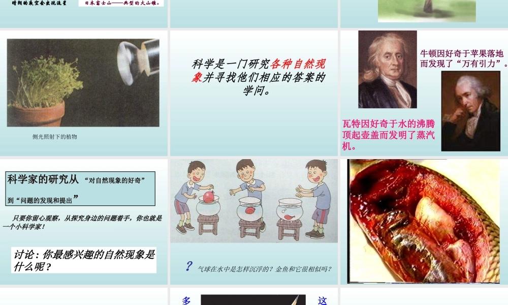 青岛小学科学三上《1 科学在我们身边》PPT课件 (2) 【虚拟宝库网www.xunibaoku.com】.ppt