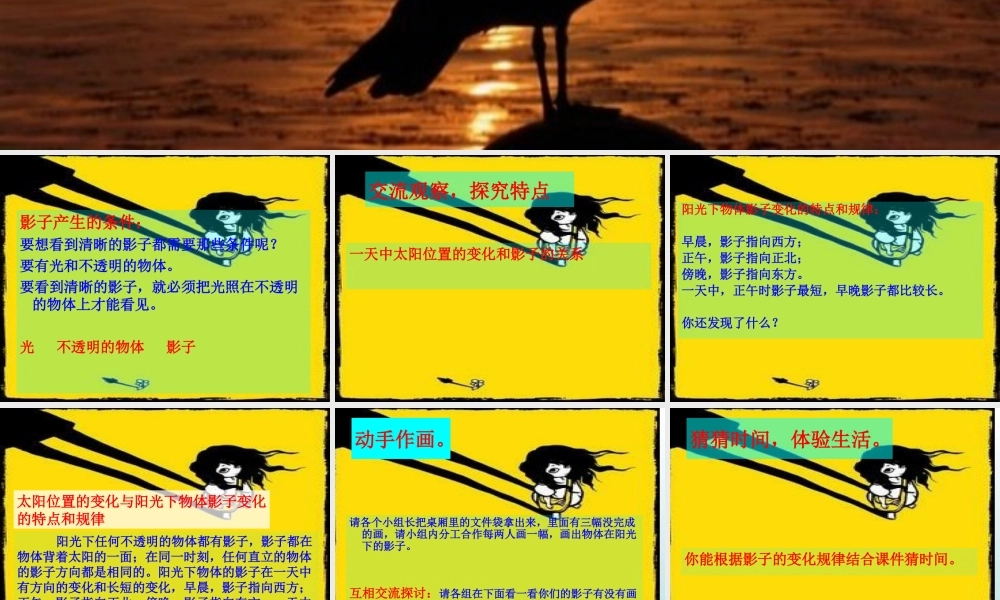 青岛小学科学三上《11 太阳和影子》PPT课件 (3) 【虚拟宝库网www.xunibaoku.com】.ppt