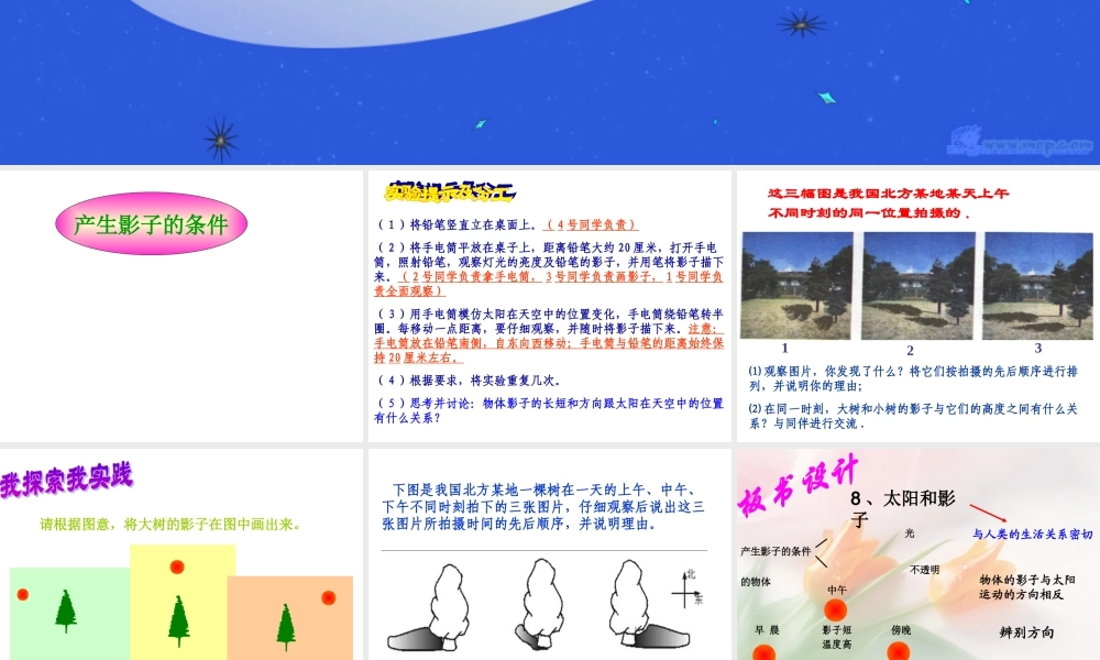 青岛小学科学三上《11 太阳和影子》PPT课件 (5) 【虚拟宝库网www.xunibaoku.com】.ppt