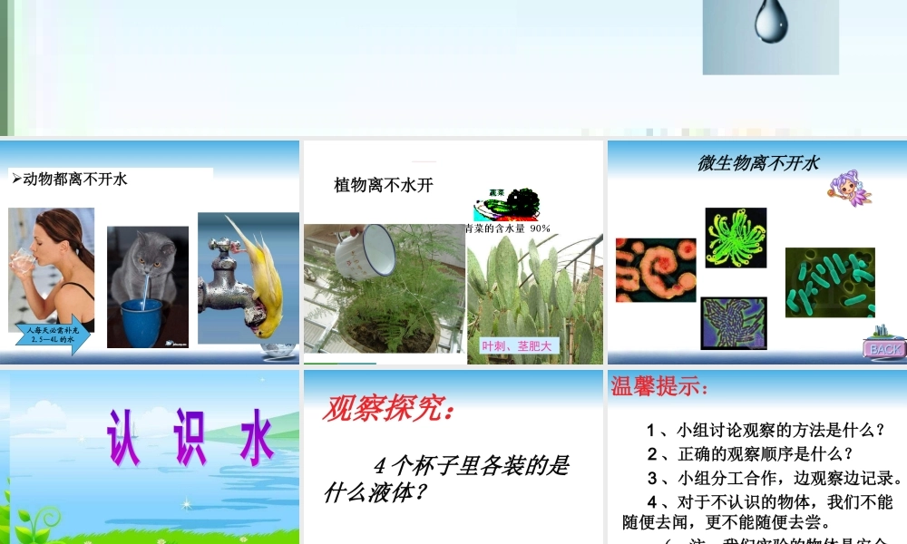 青岛小学科学三上《14 认识水》PPT课件 (2) 【虚拟宝库网www.xunibaoku.com】.ppt