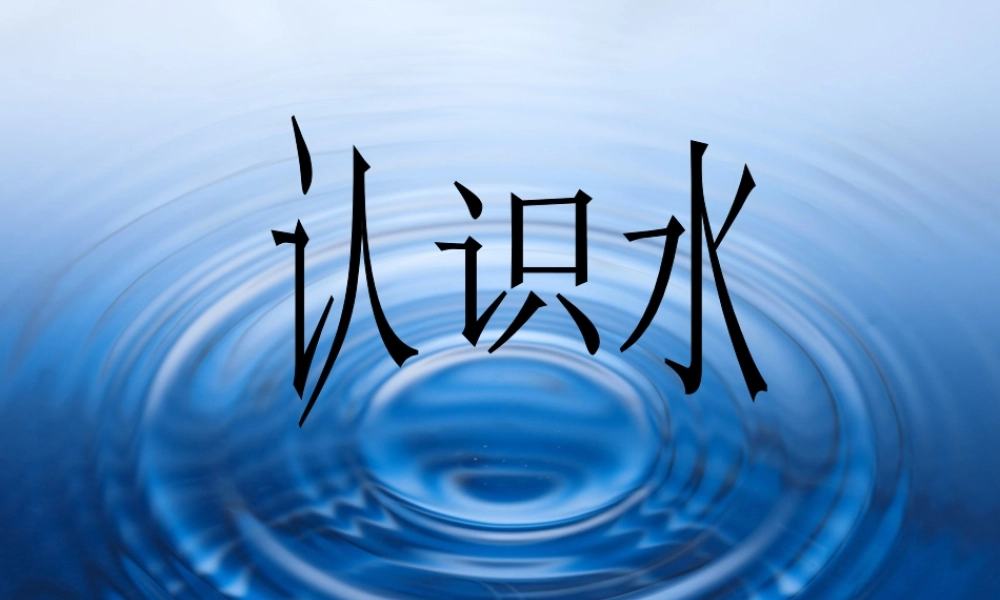 青岛小学科学三上《14 认识水》PPT课件 (1) 【虚拟宝库网www.xunibaoku.com】.ppt