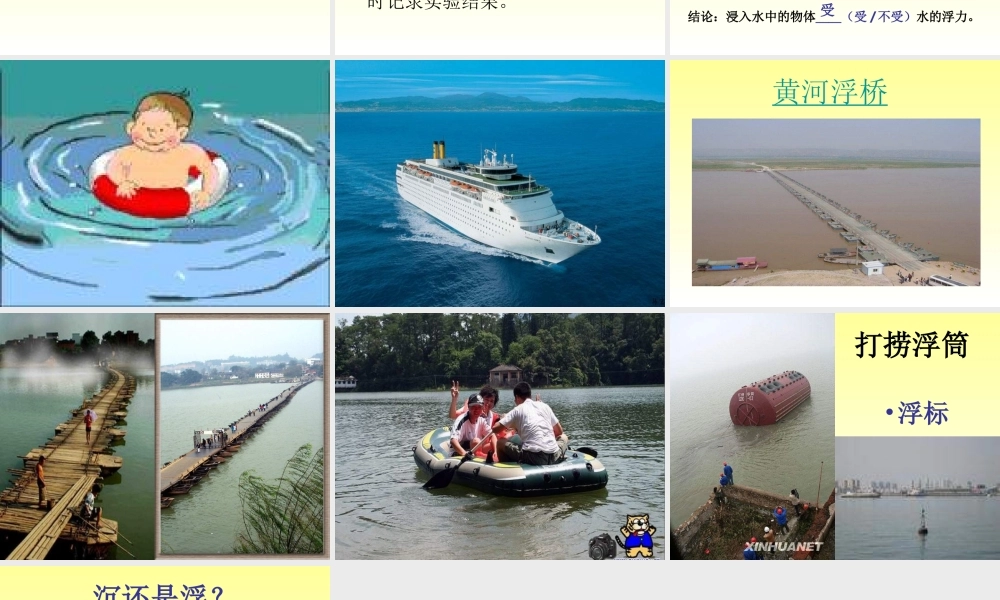 青岛小学科学三上《15有趣的浮沉现象》PPT课件 (5) 【虚拟宝库网www.xunibaoku.com】.ppt