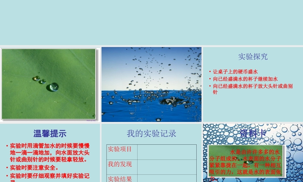 青岛小学科学三上《17 水面的秘密》PPT课件 (2) 【虚拟宝库网www.xunibaoku.com】.ppt