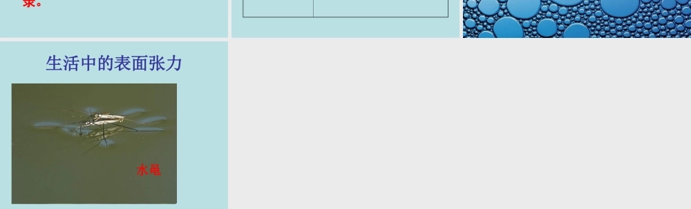 青岛小学科学三上《17 水面的秘密》PPT课件 (2) 【虚拟宝库网www.xunibaoku.com】.ppt