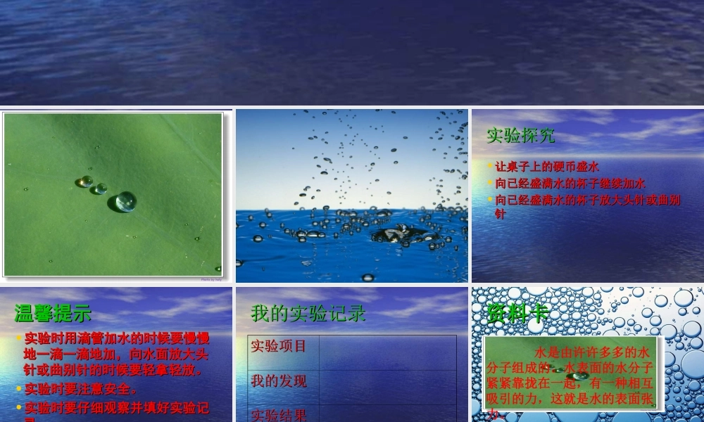 青岛小学科学三上《17 水面的秘密》PPT课件 (1) 【虚拟宝库网www.xunibaoku.com】.ppt