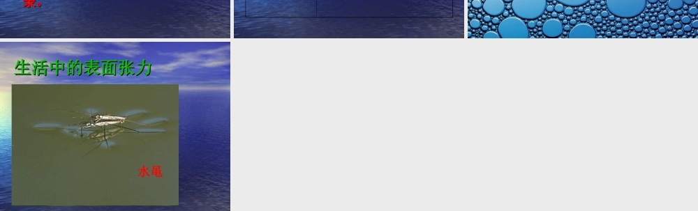 青岛小学科学三上《17 水面的秘密》PPT课件 (1) 【虚拟宝库网www.xunibaoku.com】.ppt