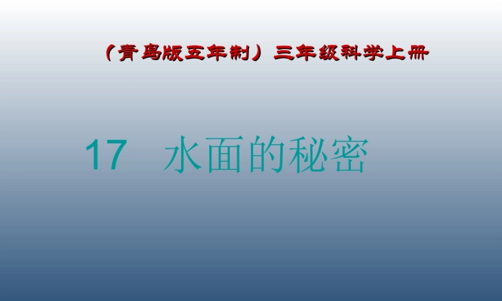 青岛小学科学三上《17 水面的秘密》PPT课件 (3) 【虚拟宝库网www.xunibaoku.com】.ppt