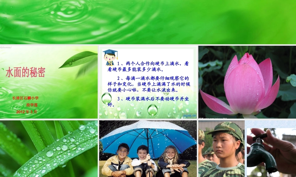 青岛小学科学三上《17 水面的秘密》PPT课件 (4) 【虚拟宝库网www.xunibaoku.com】.ppt