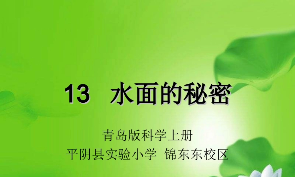 青岛小学科学三上《17 水面的秘密》PPT课件 (6) 【虚拟宝库网www.xunibaoku.com】.ppt