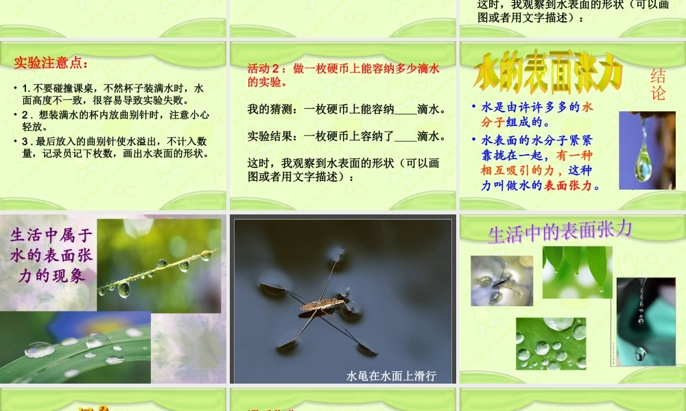青岛小学科学三上《17 水面的秘密》PPT课件 (6) 【虚拟宝库网www.xunibaoku.com】.ppt