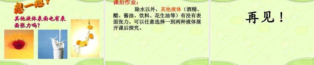 青岛小学科学三上《17 水面的秘密》PPT课件 (6) 【虚拟宝库网www.xunibaoku.com】.ppt