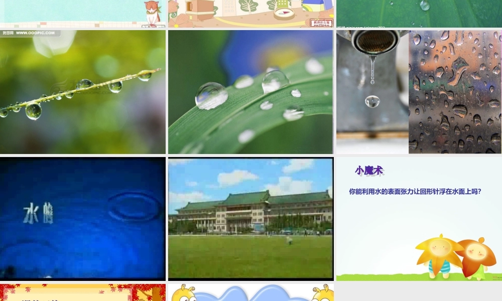 青岛小学科学三上《17 水面的秘密》PPT课件 (5) 【虚拟宝库网www.xunibaoku.com】.ppt