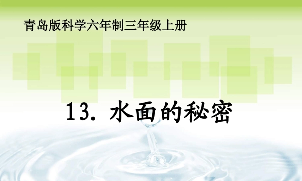 青岛小学科学三上《17 水面的秘密》PPT课件 (9) 【虚拟宝库网www.xunibaoku.com】.ppt