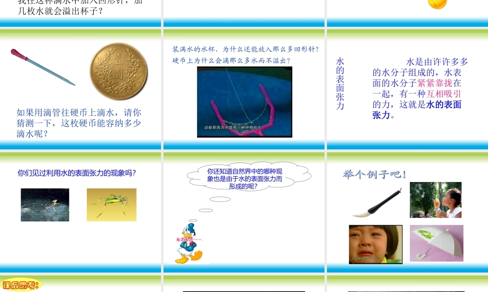 青岛小学科学三上《17 水面的秘密》PPT课件 (9) 【虚拟宝库网www.xunibaoku.com】.ppt