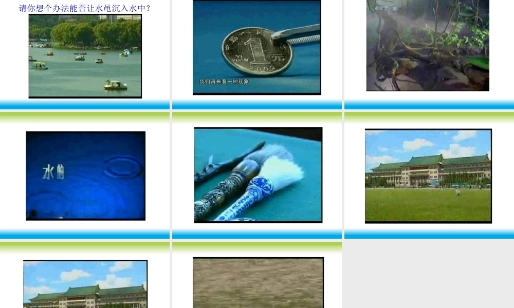 青岛小学科学三上《17 水面的秘密》PPT课件 (9) 【虚拟宝库网www.xunibaoku.com】.ppt