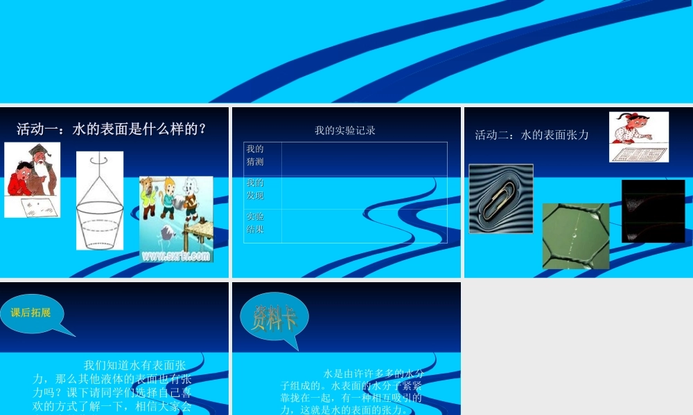 青岛小学科学三上《17 水面的秘密》PPT课件 (8) 【虚拟宝库网www.xunibaoku.com】.ppt