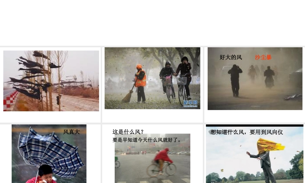 青岛小学科学三上《20 我的风向标》PPT课件【虚拟宝库网www.xunibaoku.com】.ppt