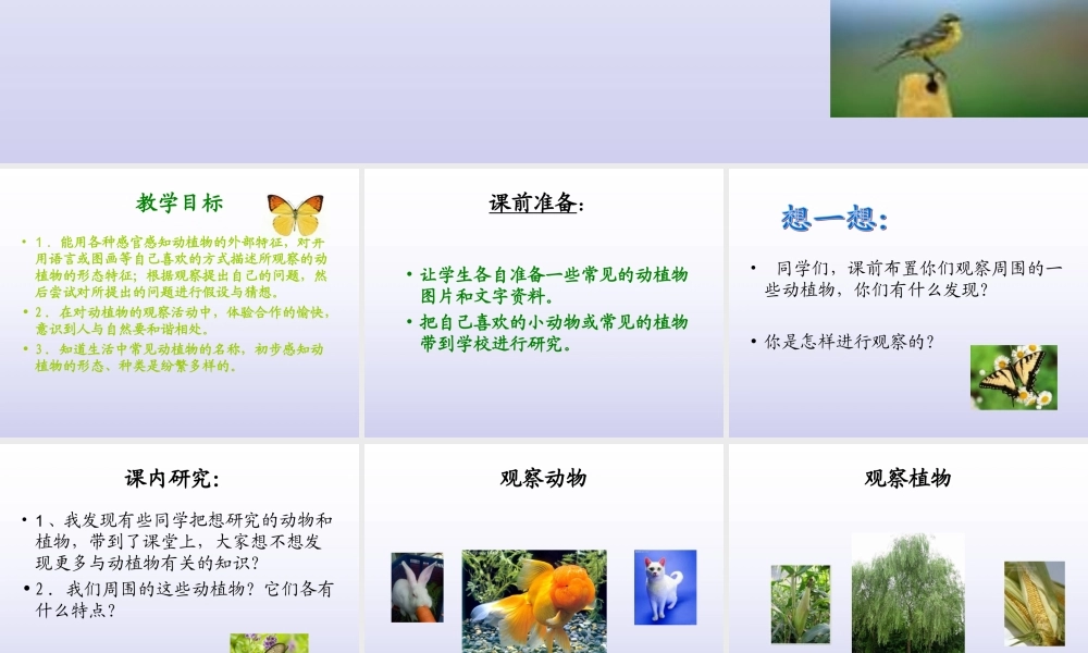 青岛小学科学三上《3 我们身边的动植物》PPT课件 (2) 【虚拟宝库网www.xunibaoku.com】.ppt