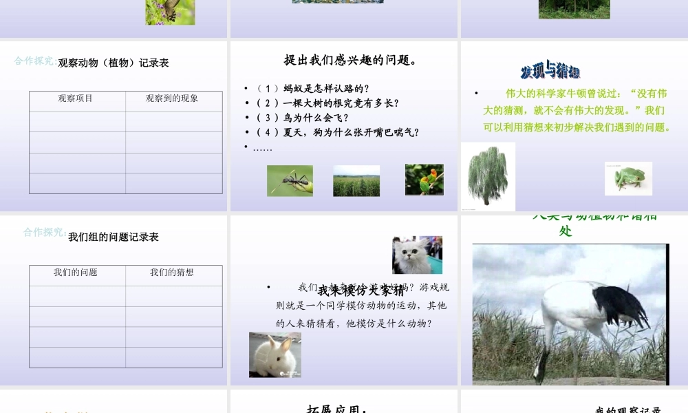 青岛小学科学三上《3 我们身边的动植物》PPT课件 (2) 【虚拟宝库网www.xunibaoku.com】.ppt