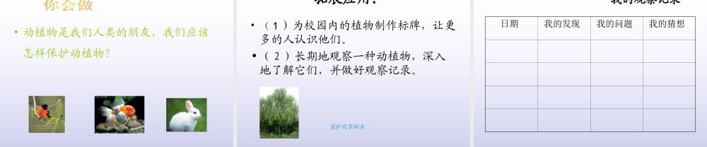 青岛小学科学三上《3 我们身边的动植物》PPT课件 (2) 【虚拟宝库网www.xunibaoku.com】.ppt