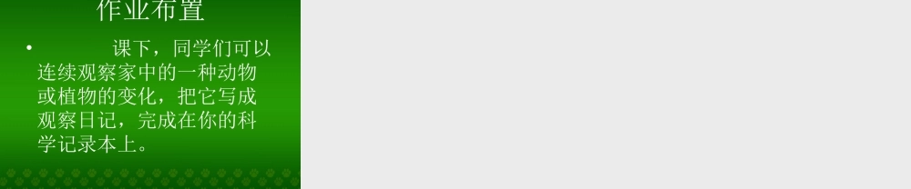 青岛小学科学三上《3 我们身边的动植物》PPT课件 (4) 【虚拟宝库网www.xunibaoku.com】.ppt