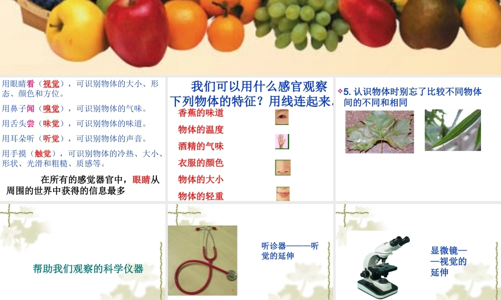 青岛小学科学三上《4 怎样认识物体》PPT课件 (5) 【虚拟宝库网www.xunibaoku.com】.ppt