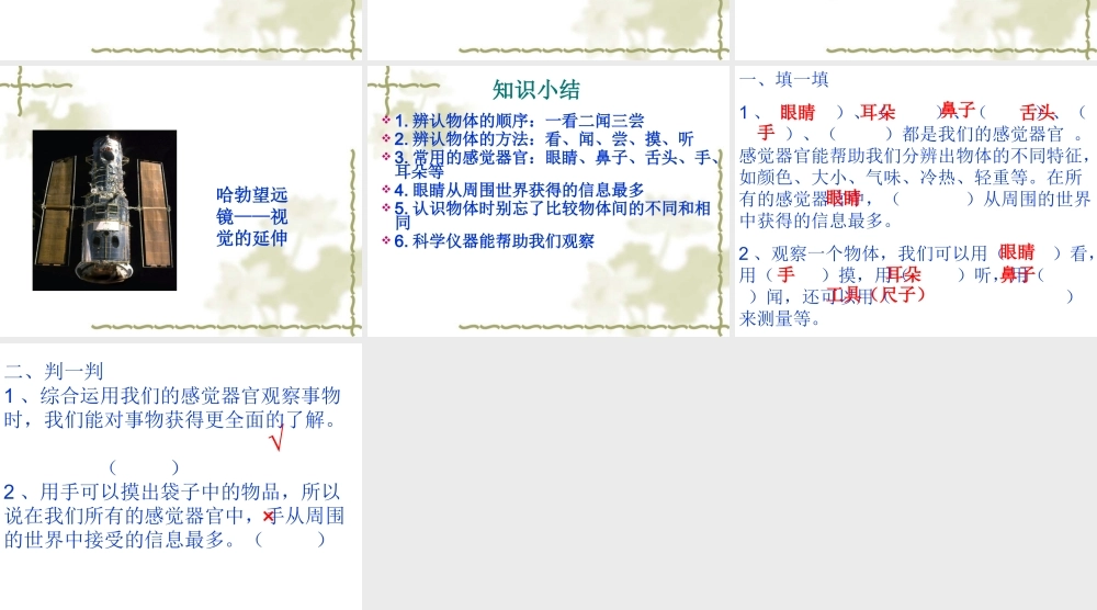 青岛小学科学三上《4 怎样认识物体》PPT课件 (5) 【虚拟宝库网www.xunibaoku.com】.ppt