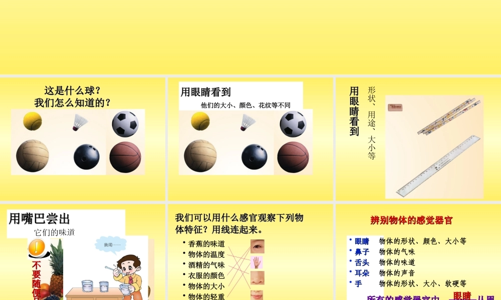 青岛小学科学三上《4 怎样认识物体》PPT课件 (1) 【虚拟宝库网www.xunibaoku.com】.ppt