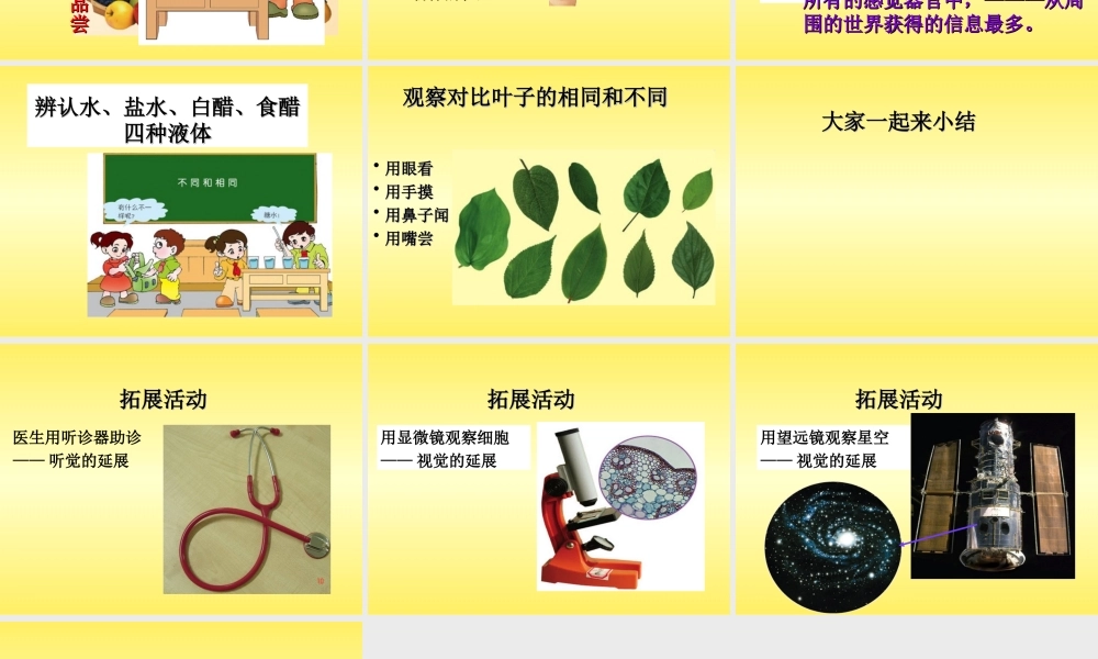 青岛小学科学三上《4 怎样认识物体》PPT课件 (1) 【虚拟宝库网www.xunibaoku.com】.ppt