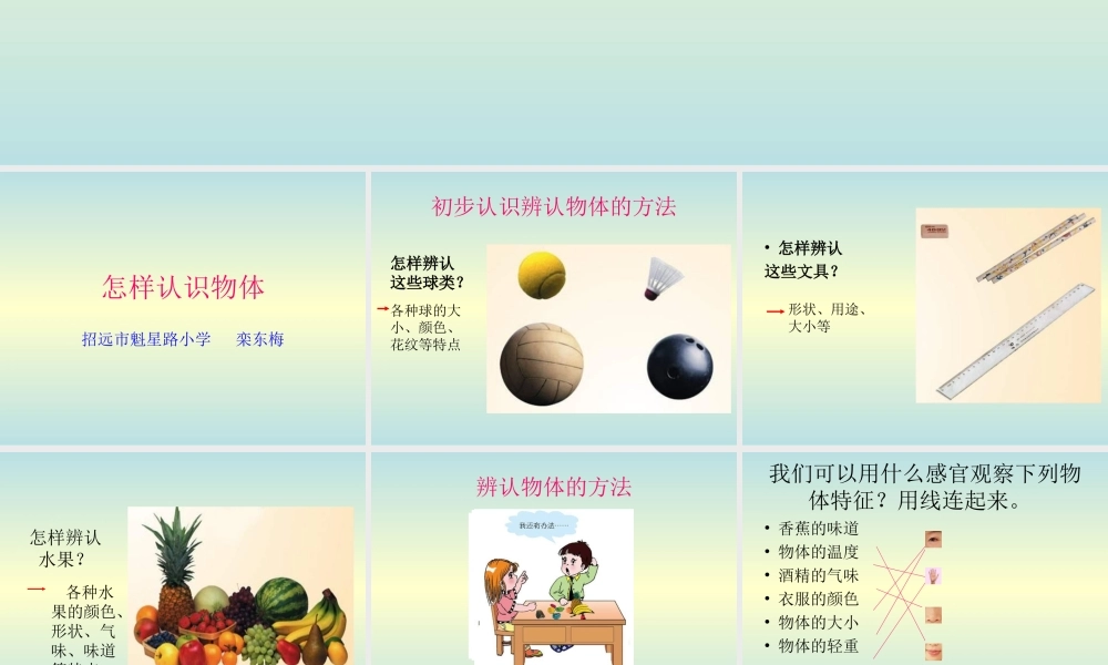 青岛小学科学三上《4 怎样认识物体》PPT课件 (4) 【虚拟宝库网www.xunibaoku.com】.ppt