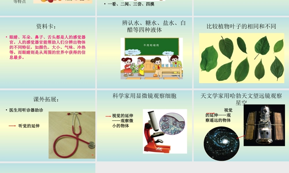 青岛小学科学三上《4 怎样认识物体》PPT课件 (4) 【虚拟宝库网www.xunibaoku.com】.ppt