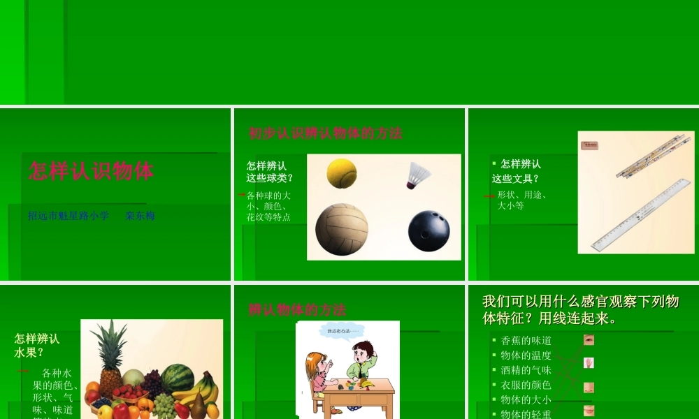青岛小学科学三上《4 怎样认识物体》PPT课件 (6) 【虚拟宝库网www.xunibaoku.com】.ppt