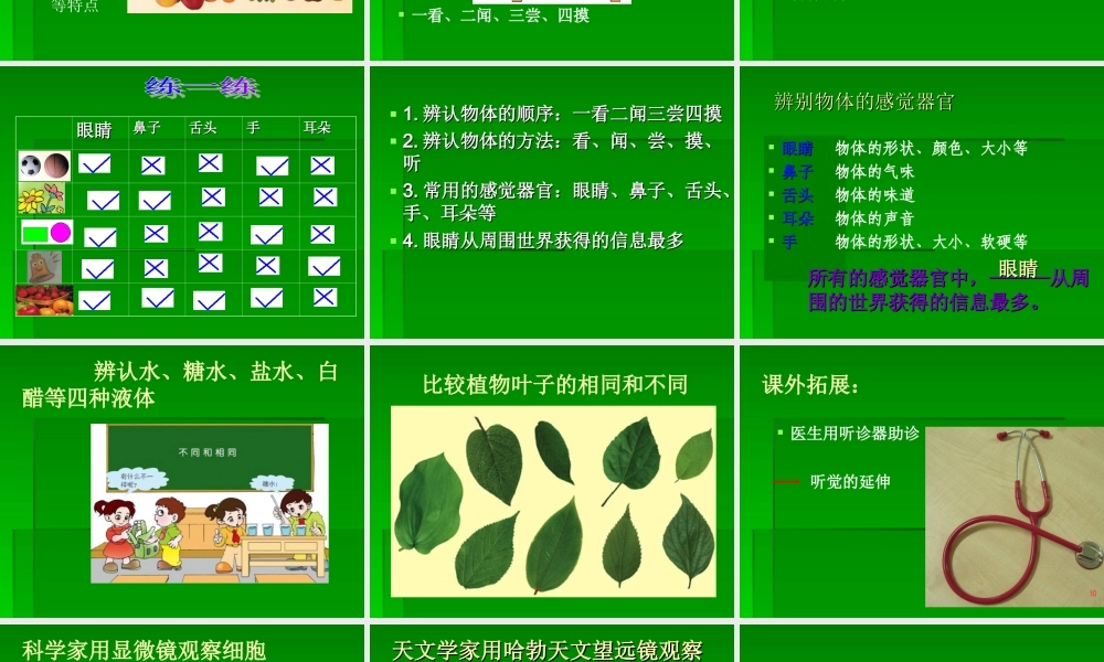 青岛小学科学三上《4 怎样认识物体》PPT课件 (6) 【虚拟宝库网www.xunibaoku.com】.ppt