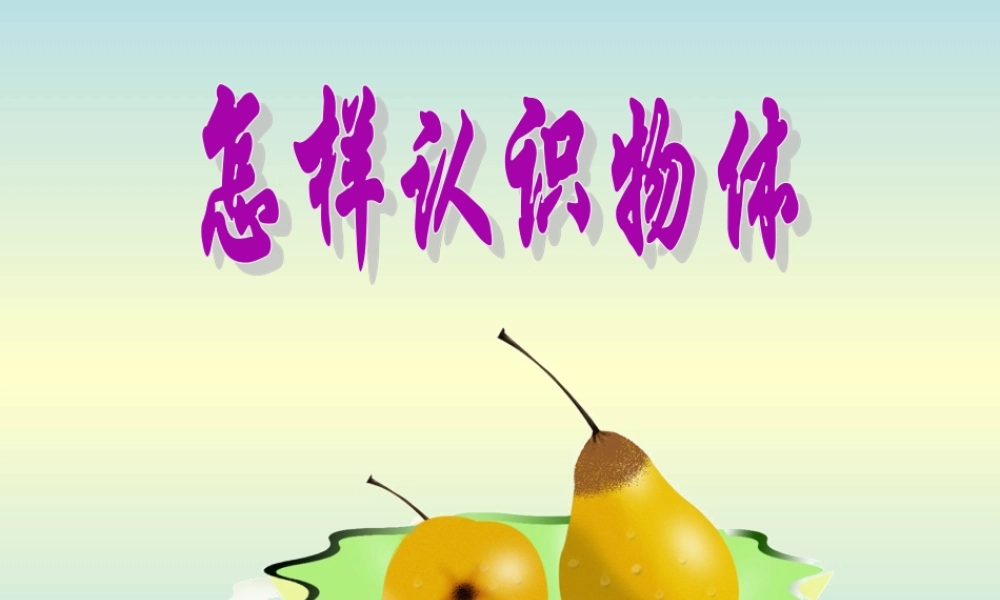 青岛小学科学三上《4 怎样认识物体》PPT课件 (3) 【虚拟宝库网www.xunibaoku.com】.ppt