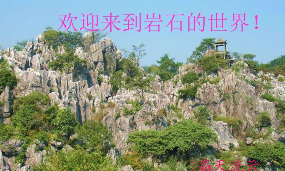 青岛小学科学三下《10 土壤里有什么》PPT课件 (2).ppt