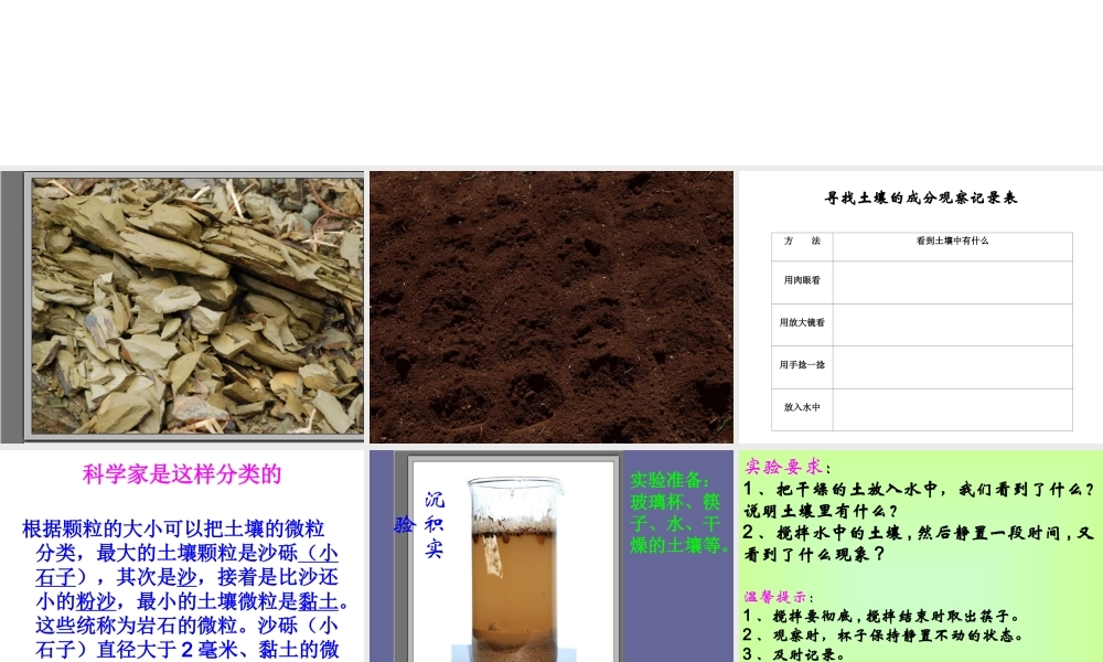 青岛小学科学三下《10 土壤里有什么》PPT课件 (3).ppt