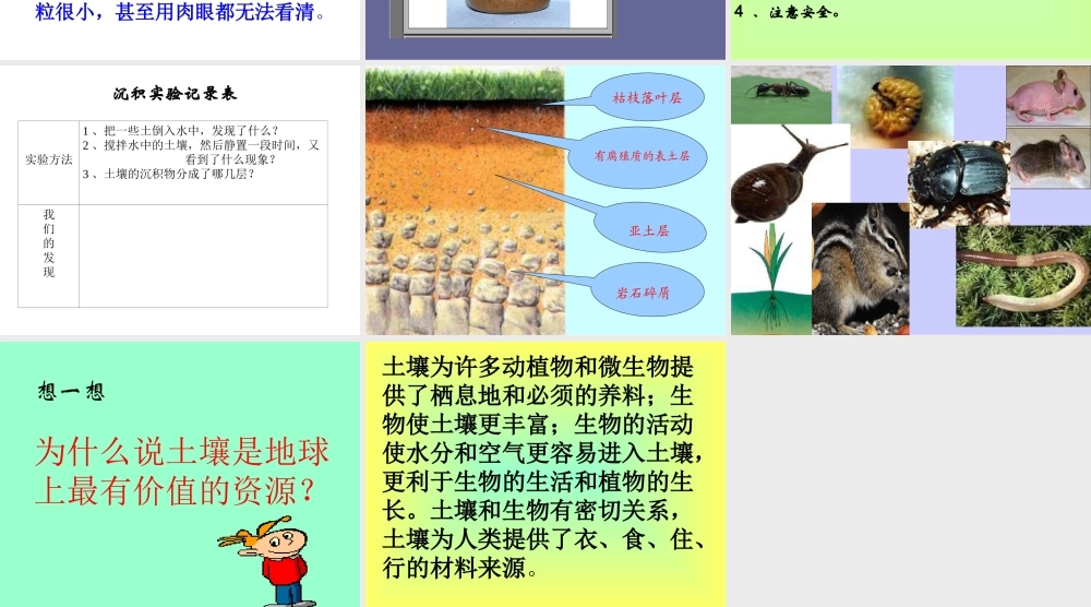 青岛小学科学三下《10 土壤里有什么》PPT课件 (3).ppt