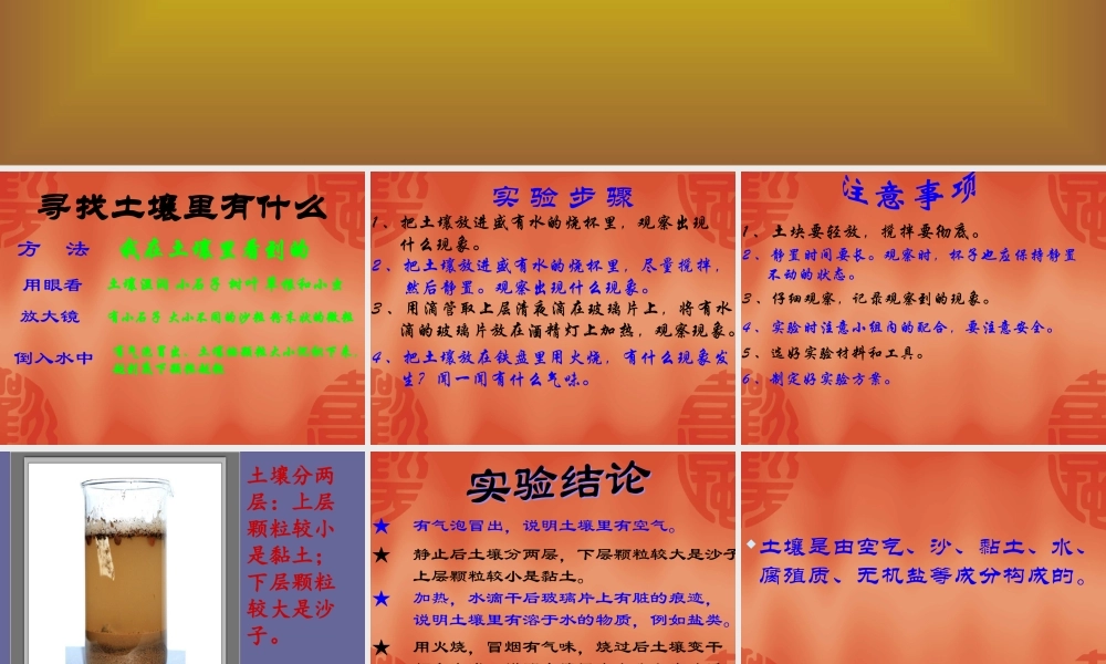 青岛小学科学三下《10 土壤里有什么》PPT课件 (4).ppt
