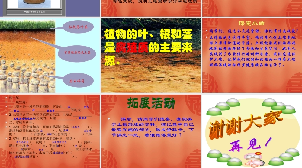 青岛小学科学三下《10 土壤里有什么》PPT课件 (4).ppt