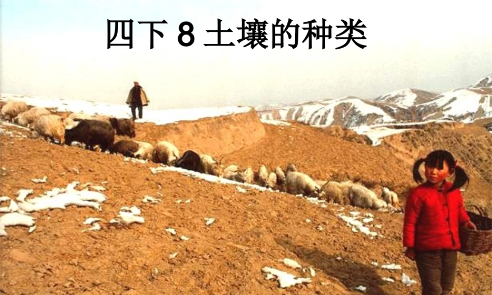 青岛小学科学三下《11 土壤的种类 》PPT课件 (3).ppt