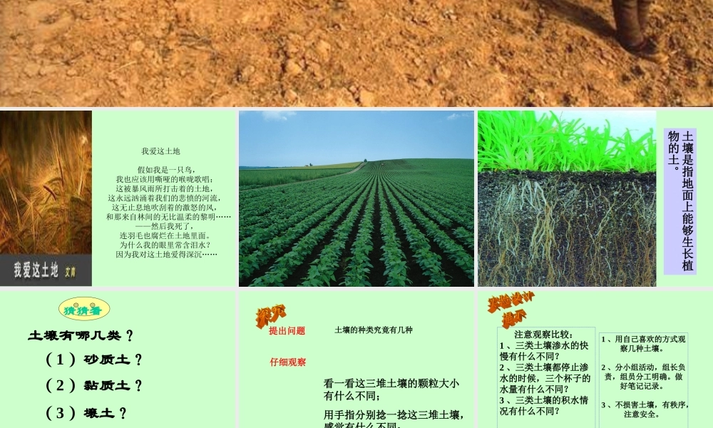 青岛小学科学三下《11 土壤的种类 》PPT课件 (3).ppt