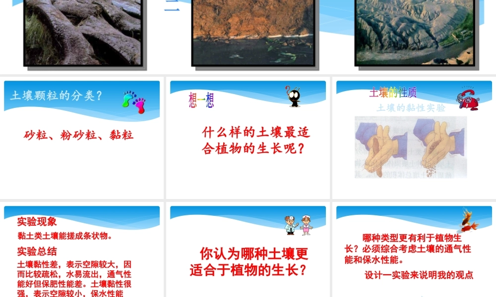 青岛小学科学三下《11 土壤的种类 》PPT课件 (1).pptx