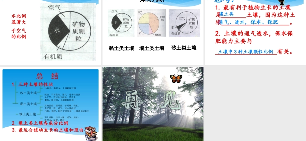 青岛小学科学三下《11 土壤的种类 》PPT课件 (1).pptx