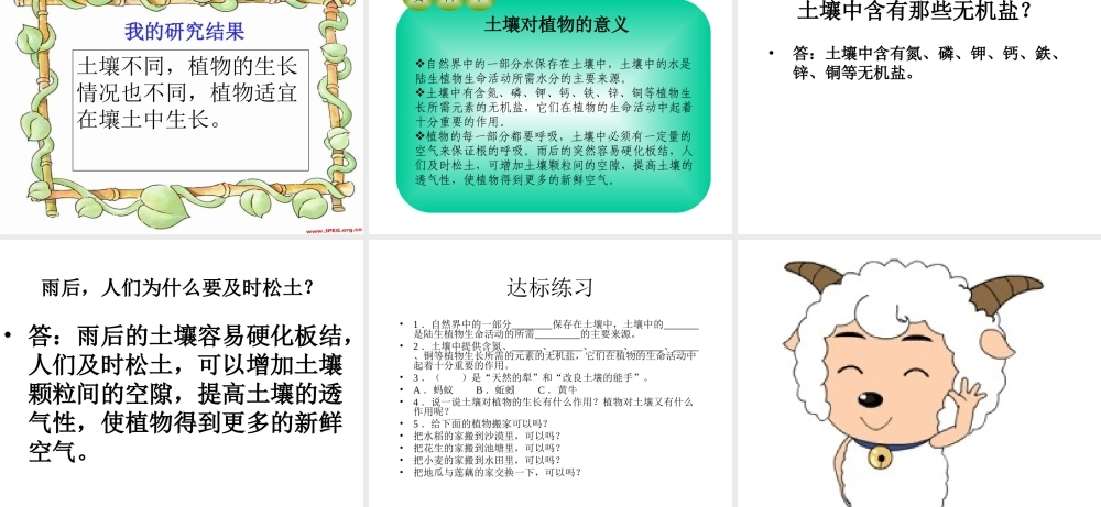 青岛小学科学三下《12 土壤与植物》PPT课件 (2).ppt